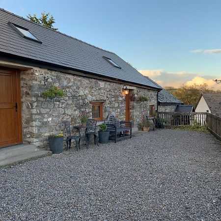 The Reindeer Retreat Buttercup Twin Hotel Kidwelly Exterior photo