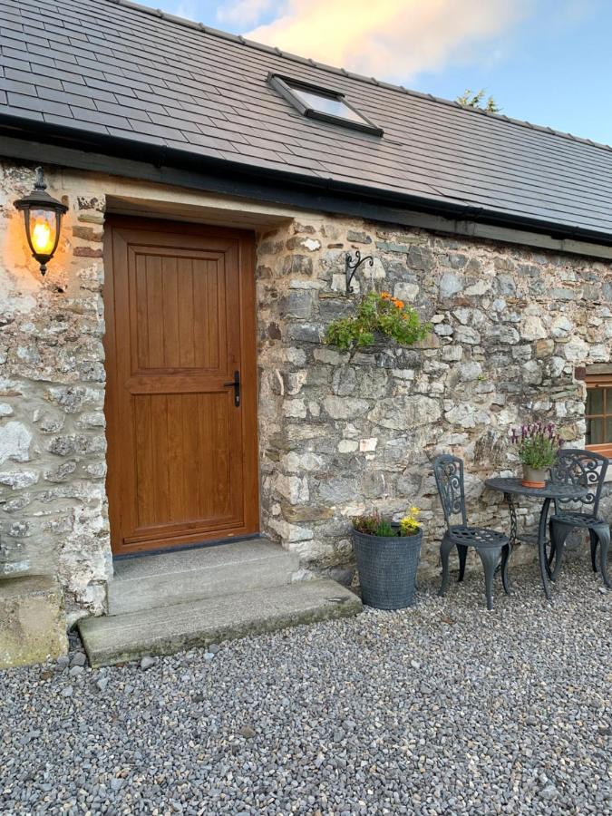 The Reindeer Retreat Buttercup Twin Hotel Kidwelly Exterior photo